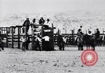 Standbild ruckeln Bronchos United States USA, 1927, aus Sekunde 51 historischem Filmmaterial Videoclip 65675039854