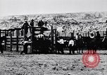 Standbild ruckeln Bronchos United States USA, 1927, aus Sekunde 52 historischem Filmmaterial Videoclip 65675039854