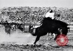 Standbild ruckeln Bronchos United States USA, 1927, aus Sekunde 56 historischem Filmmaterial Videoclip 65675039854