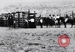 Standbild ruckeln Bronchos United States USA, 1927, aus Sekunde 62 historischem Filmmaterial Videoclip 65675039854