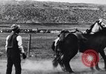 Standbild Cowboy United States USA, 1927, aus Sekunde 10 historischem Filmmaterial Videoclip 65675039855