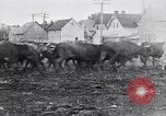 Standbild cowboys United States USA, 1927, aus Sekunde 1 historischem Filmmaterial Videoclip 65675039858