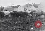 Standbild cowboys United States USA, 1927, aus Sekunde 3 historischem Filmmaterial Videoclip 65675039858
