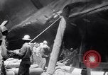 Image of Liner United States Newport News Virginia USA, 1951, second 19 stock footage video 65675039862
