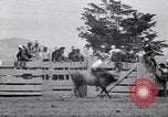 Image cowboys Salinas California USA, 1951, de la seconde 41 séquences d'archives historiques vidéo 65675039865