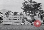 Image cowboys Salinas California USA, 1951, de la seconde 45 séquences d'archives historiques vidéo 65675039865