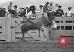 Image cowboys Salinas California USA, 1951, de la seconde 49 séquences d'archives historiques vidéo 65675039865