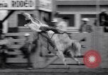 Image cowboys Salinas California USA, 1951, de la seconde 58 séquences d'archives historiques vidéo 65675039865