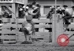 Image cowboys Salinas California USA, 1951, de la seconde 61 séquences d'archives historiques vidéo 65675039865