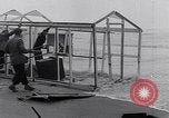 Image détruit des maisons Holland Hollande, 1955, de la seconde 31 séquences d'archives historiques vidéo 65675039867