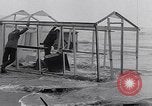 Image détruit des maisons Holland Hollande, 1955, de la seconde 33 séquences d'archives historiques vidéo 65675039867