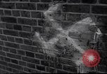 Immagine di Swastika graffiti a Colonia nel 1961 e 1935 nazista ebraico di boicottaggio busi Germania, 1961, secondo 11 filmato di repertorio 65675039876