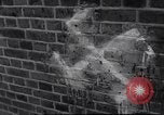 Immagine di Swastika graffiti a Colonia nel 1961 e 1935 nazista ebraico di boicottaggio busi Germania, 1961, secondo 12 filmato di repertorio 65675039876