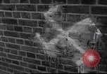 Immagine di Swastika graffiti a Colonia nel 1961 e 1935 nazista ebraico di boicottaggio busi Germania, 1961, secondo 13 filmato di repertorio 65675039876