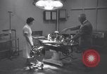 Immagine di Il Progetto Speranza nave SS Speranza Indonesia, 1960, secondo 10 filmato di repertorio 65675039878