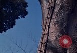 Image of lookout post South Vietnam, 1962, second 34 stock footage video 65675039890