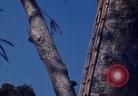 Image of lookout post South Vietnam, 1962, second 36 stock footage video 65675039890
