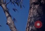 Image of lookout post South Vietnam, 1962, second 37 stock footage video 65675039890