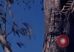 Image of lookout post South Vietnam, 1962, second 38 stock footage video 65675039890