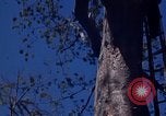 Image of lookout post South Vietnam, 1962, second 40 stock footage video 65675039890