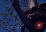 Image of lookout post South Vietnam, 1962, second 42 stock footage video 65675039890