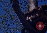 Image of lookout post South Vietnam, 1962, second 43 stock footage video 65675039890