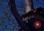 Image of lookout post South Vietnam, 1962, second 47 stock footage video 65675039890
