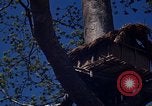 Image of lookout post South Vietnam, 1962, second 48 stock footage video 65675039890