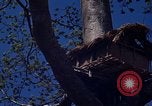 Image of lookout post South Vietnam, 1962, second 49 stock footage video 65675039890
