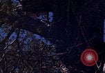 Image of lookout post South Vietnam, 1962, second 50 stock footage video 65675039890