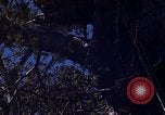 Image of lookout post South Vietnam, 1962, second 51 stock footage video 65675039890