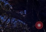 Image of lookout post South Vietnam, 1962, second 52 stock footage video 65675039890