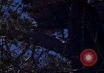 Image of lookout post South Vietnam, 1962, second 53 stock footage video 65675039890