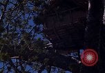 Image of lookout post South Vietnam, 1962, second 56 stock footage video 65675039890