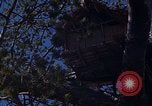 Image of lookout post South Vietnam, 1962, second 60 stock footage video 65675039890