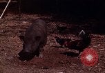 Image of American soldier South Vietnam, 1962, second 15 stock footage video 65675039893