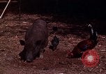 Image of American soldier South Vietnam, 1962, second 18 stock footage video 65675039893
