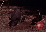 Image of American soldier South Vietnam, 1962, second 20 stock footage video 65675039893