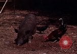 Image of American soldier South Vietnam, 1962, second 22 stock footage video 65675039893