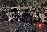 Image of American soldier of Special Forces South Vietnam, 1962, second 5 stock footage video 65675039897