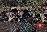 Image of American soldier of Special Forces South Vietnam, 1962, second 7 stock footage video 65675039897