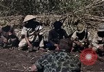 Image of American soldier of Special Forces South Vietnam, 1962, second 9 stock footage video 65675039897