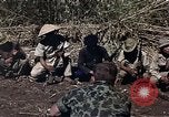 Image of American soldier of Special Forces South Vietnam, 1962, second 10 stock footage video 65675039897