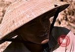 Image of American soldier of Special Forces South Vietnam, 1962, second 38 stock footage video 65675039897