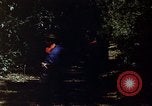 Image of South Vietnamese troops South Vietnam, 1962, second 44 stock footage video 65675039898