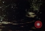 Image of South Vietnamese troops South Vietnam, 1962, second 54 stock footage video 65675039898