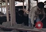 Image of workers Saigon Vietnam, 1962, second 16 stock footage video 65675039902