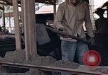 Image of workers Saigon Vietnam, 1962, second 17 stock footage video 65675039902