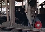 Image of workers Saigon Vietnam, 1962, second 18 stock footage video 65675039902