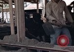Image of workers Saigon Vietnam, 1962, second 21 stock footage video 65675039902
